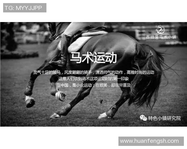 武汉极限运动队如何引领速度革命与热议的背后故事